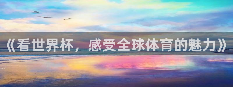 2026世界杯买球:《看世界杯,感受全球体育的魅力》