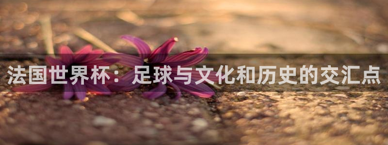 2026足球世界杯赛程时间表:法国世界杯:足球与文化和历史的交汇点