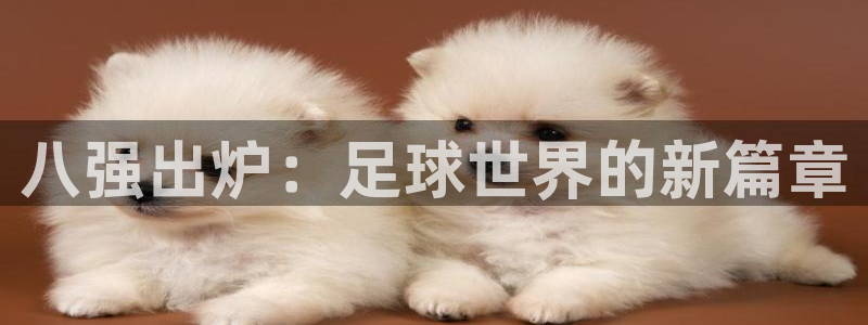 2026世界杯赛制:八强出炉:足球世界的新篇章