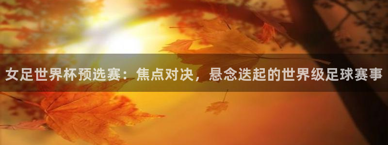 世界杯女足直播:女足世界杯预选赛:焦点对决,悬念迭起的世界级足球赛事