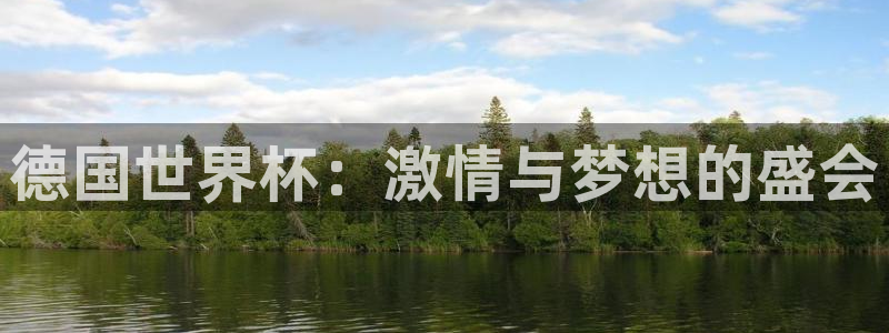 2026世界杯南美区积分榜:德国世界杯:激情与梦想的盛会
