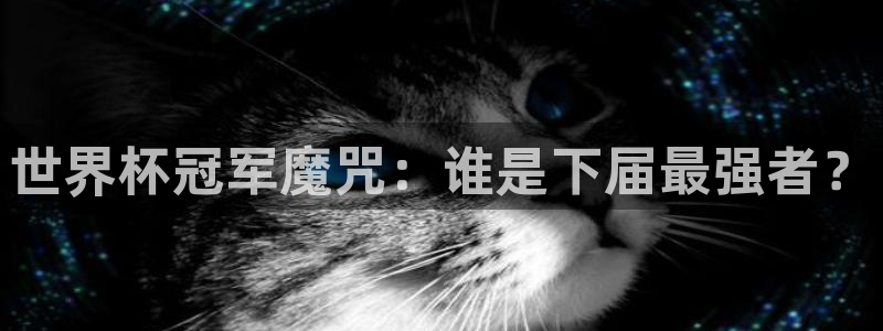 世界杯赛程表:世界杯冠军魔咒:谁是下届最强者?