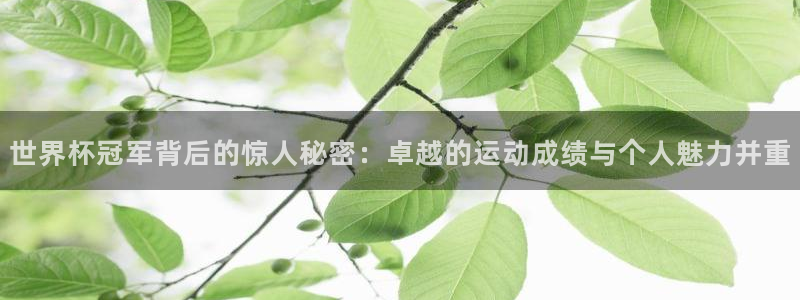 2006世界杯:世界杯冠军背后的惊人秘密:卓越的运动成绩与个人魅力并重
