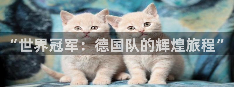 世界杯球队排名:“世界冠军:德国队的辉煌旅程”